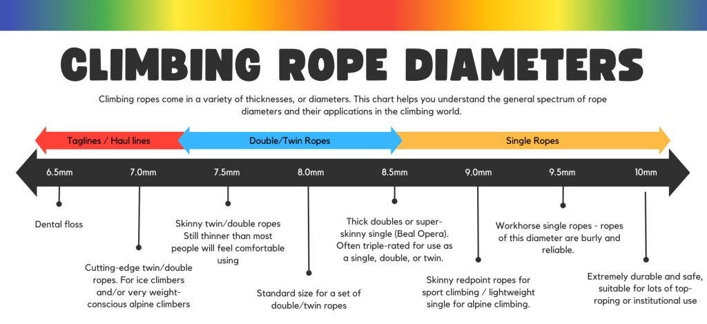 An infographic showing different climbing rope diameters. The part of the graphic relevant to this article is 9.5mm ropes, which are described as "workhorse single ropes - ropes of this diameter are burly and reliable".
